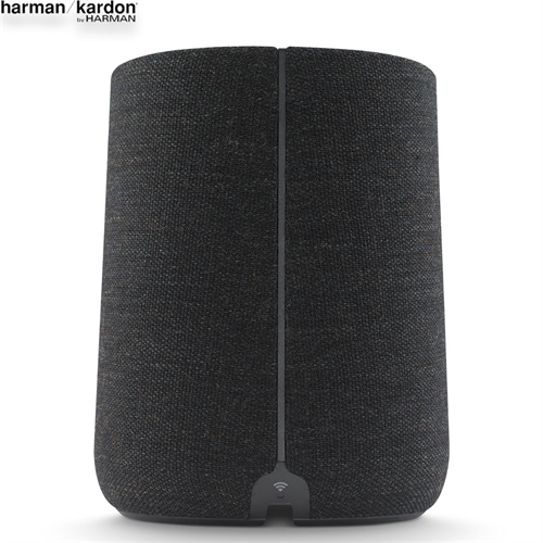 Loa Harman Kardon Citation ONE 10